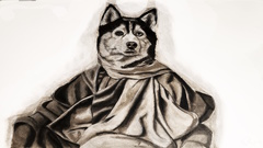 Exposition ANIMALS de Hugues ROMANO